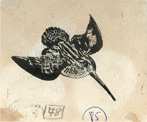 Курдов Валентин Иванович. Лот из восьми иллюстраций к повести В. Бианки, закрепленных на одном паспарту 